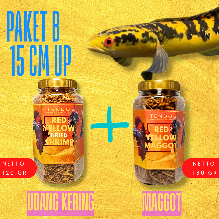 Megumiyee_ Pakan Channa Maru Ys Premium Maggot Kering Udang Pelet Warna Bunga Channa Yellow Sentarum