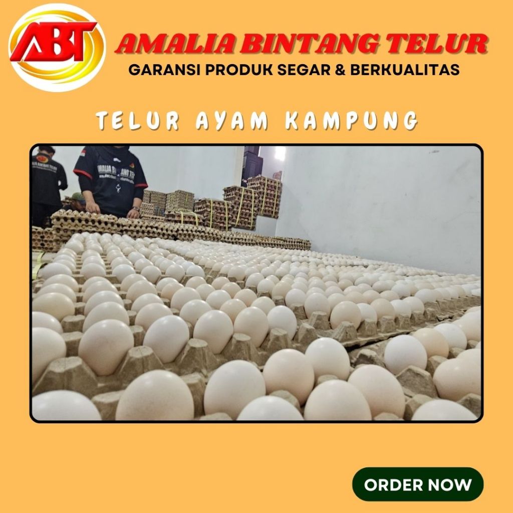 

Telur Ayam Kampung Asli