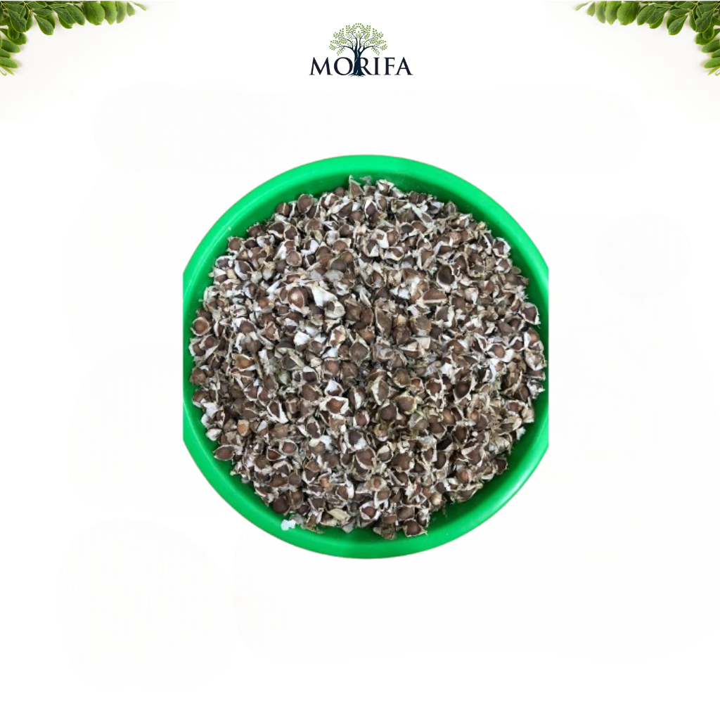 

MORIFA Biji Kelor Kering Bersayap Moringa Seed Biji Kelor Asli 100-250-500gram