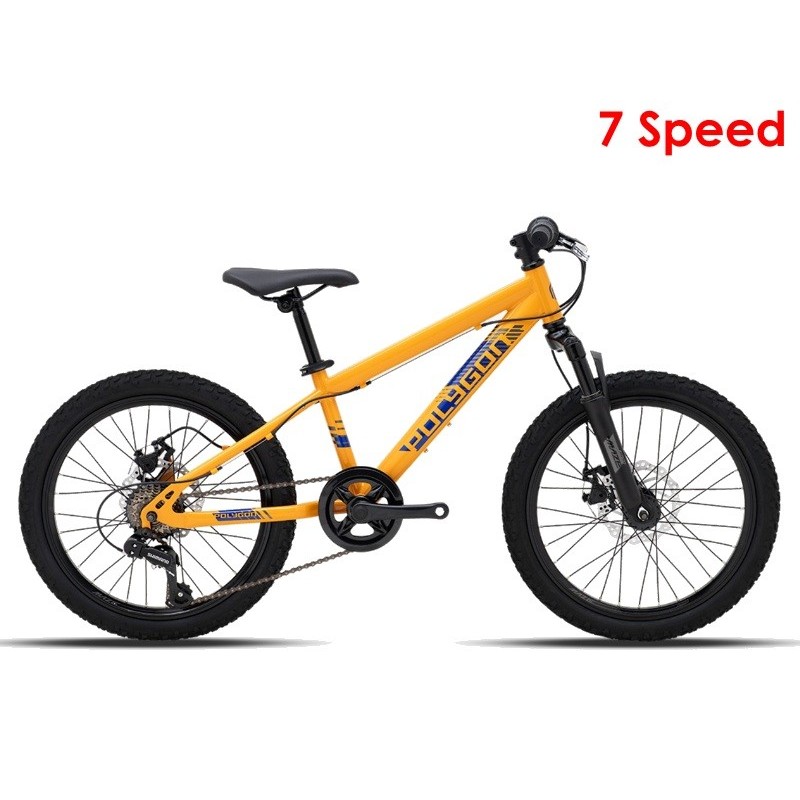 Sepeda Gunung Mtb Polygon Maze 20 Inch