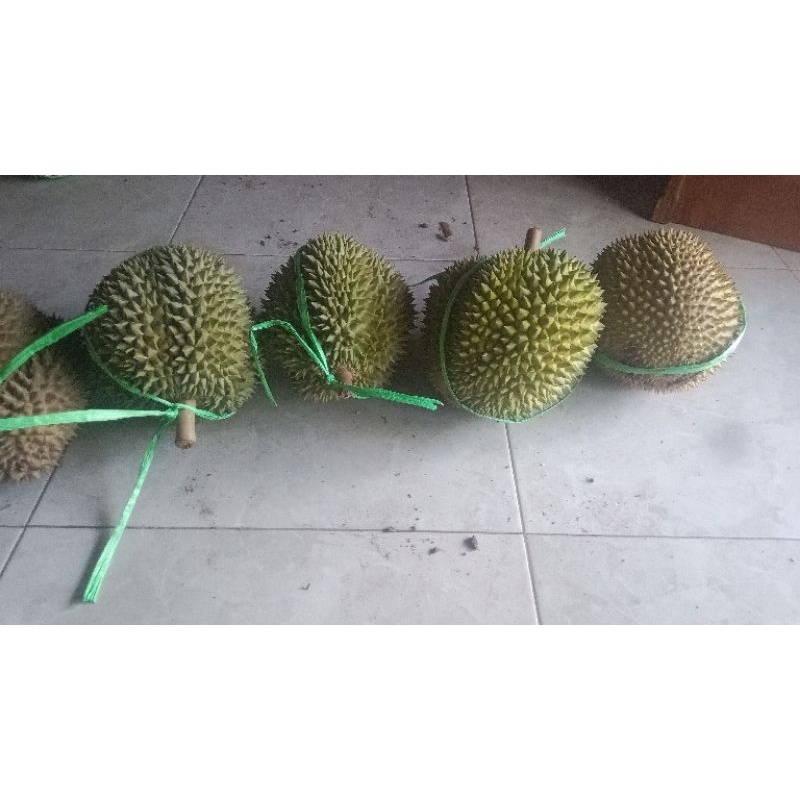 

durian