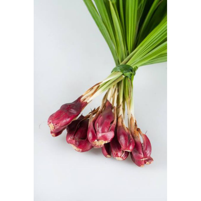 

Bawang Dayak Segar 250gr