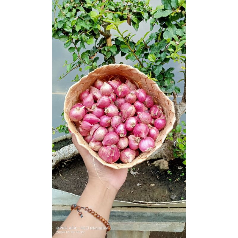 

BAWANG merah asli Probolinggo 500gr / ½kg