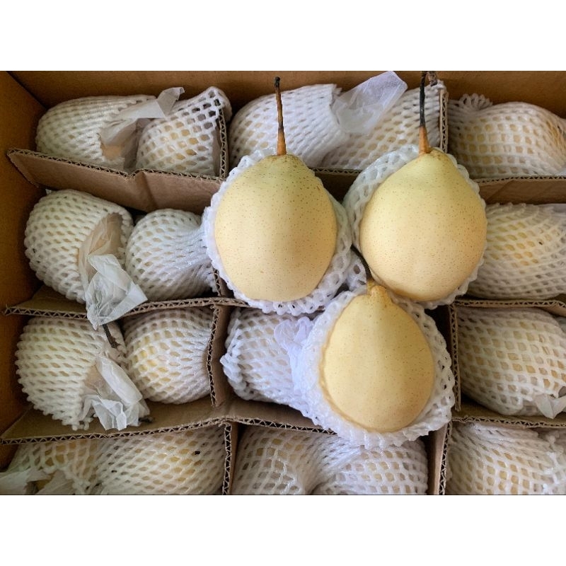 

pear yaklie//pear manis//buah segar 1kg