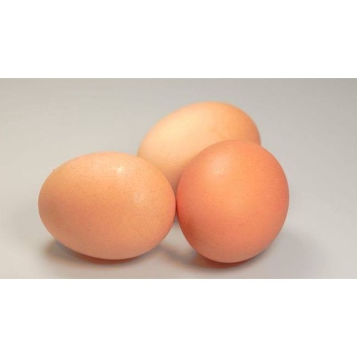 

Telur Ayam Negeri 1KG