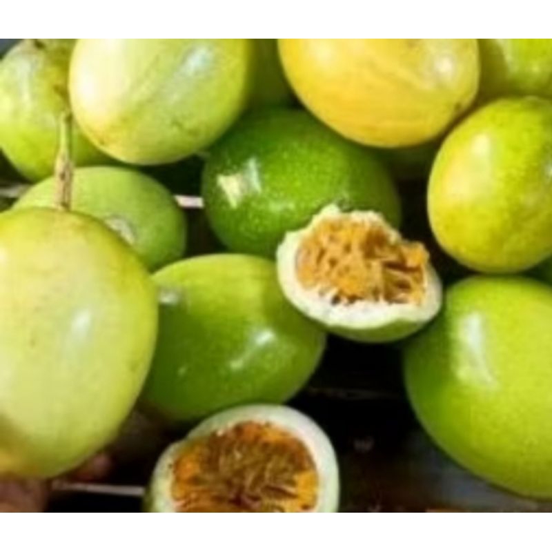 

buah markisa Segar 1 kg