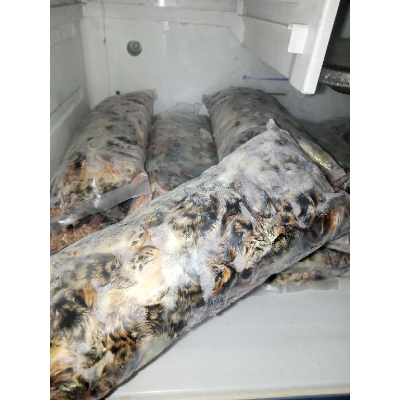 

DOQ/PUYUH FROZEN