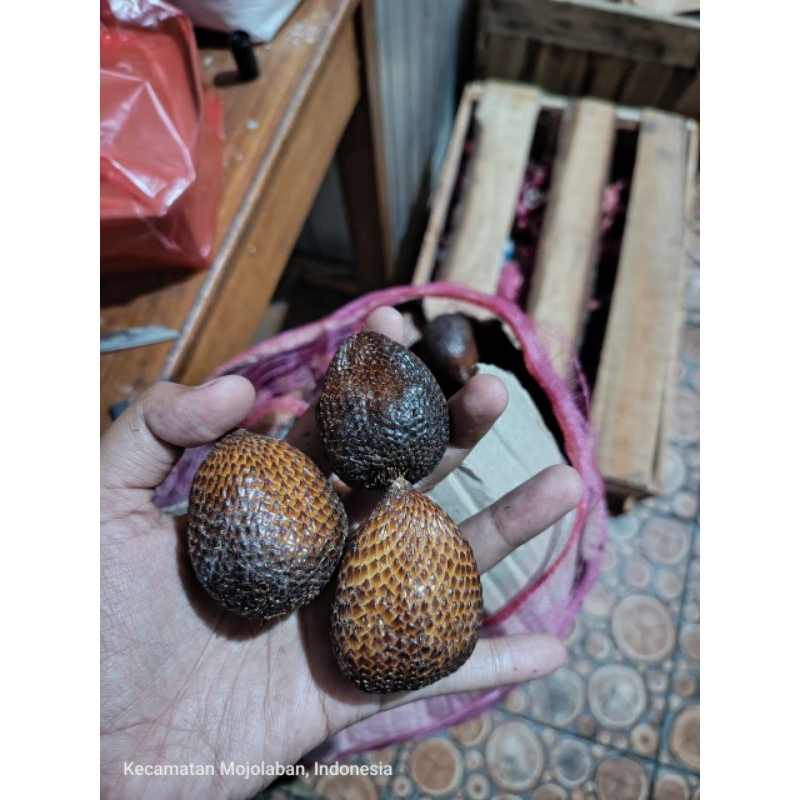 

Salak Pondoh