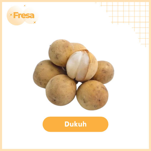 

Dukuh Palembang 1 Kg Fresh & Sehat | Fresa Mart