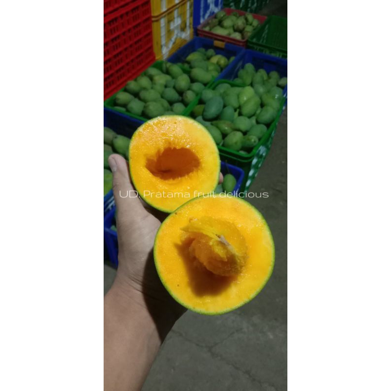 

MANGGA VIRAL | mangga kardusan 5kg dan 10kg | mangga alpukat | mangga harum manis | mangga gadung