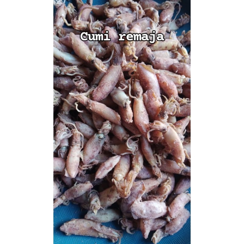 

Cumi asin ukuran remaja