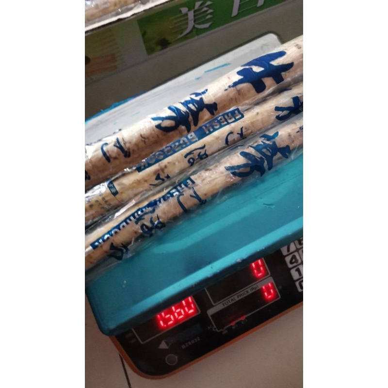 

RB Burdock Root Gobo 1kg - fresh - ketela jepang