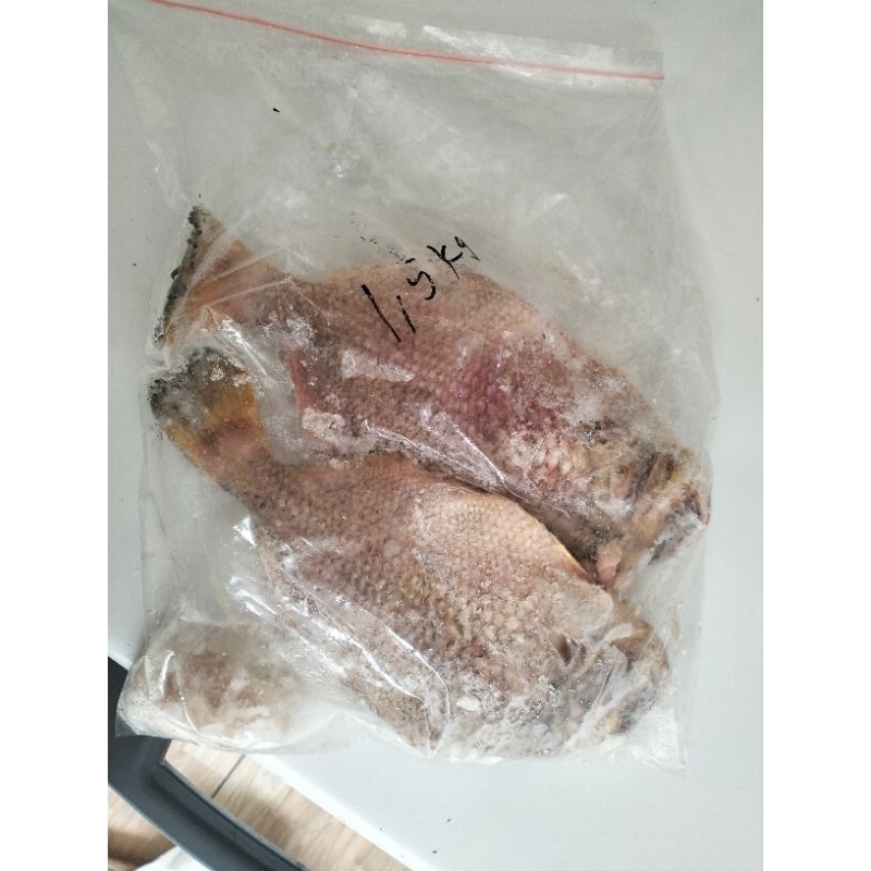 

ikan batu ya beb...segar dan manis 2ekor 1,5kg minat co langsung ya beb