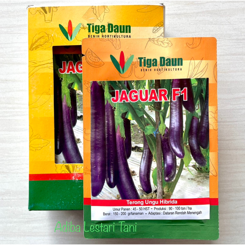 Benih Terong Ungu Hibrida Jaguar F1 Isi 10 Gram - Cap Tiga Daun