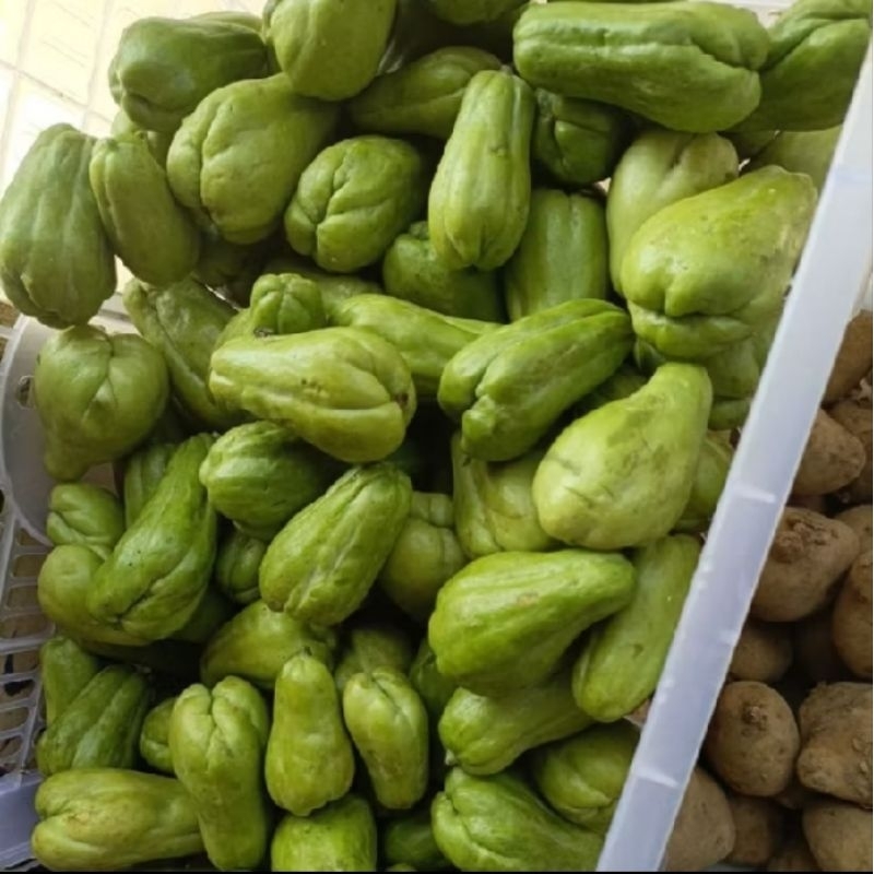 

labu acar hijau. labusiam lalap. labu lalab