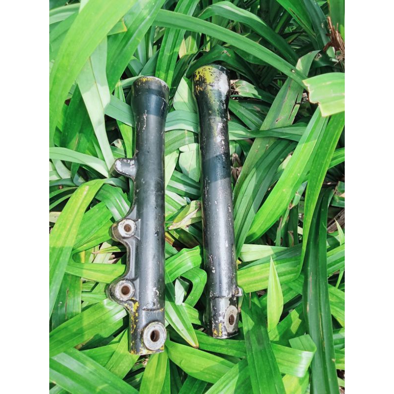 BOTTOM SHOCK DEPAN SHOGUN KEBO