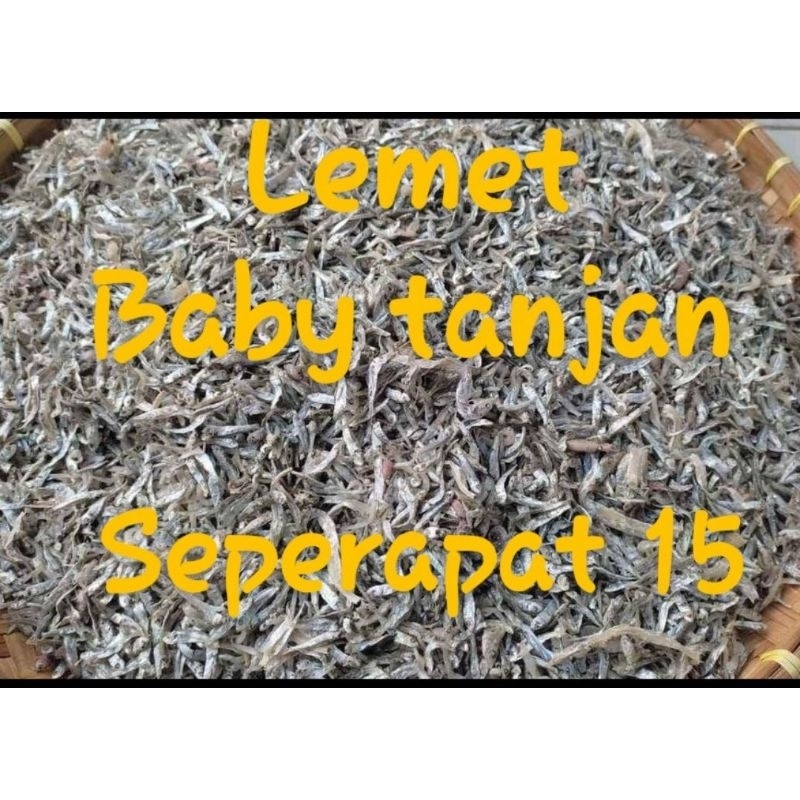 

Lemet/ baby tanjan bisa COD seperapat