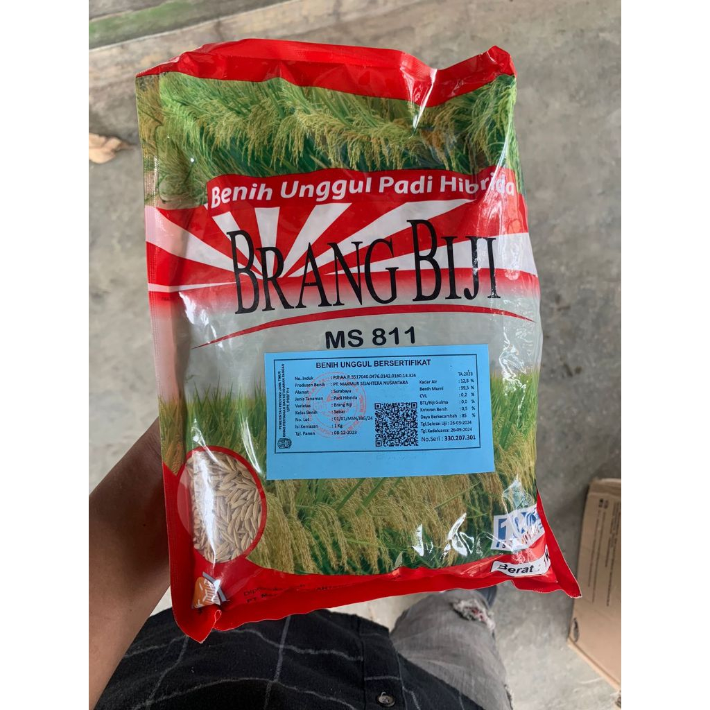 Padi hibrida brang biji ORIGINAL 1kg exp 01-03-2026