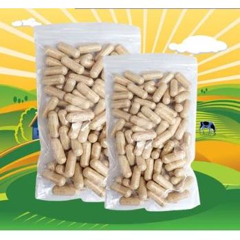 OBAT URINARY KUCING - Obat Kucing Susah Kencing Pipis Obat Infeksi Saluran Kemih Kucing