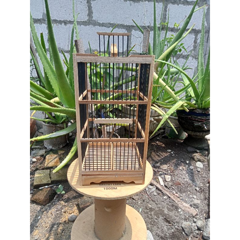 Sangkar Burcil Kayu jati Ambrukan