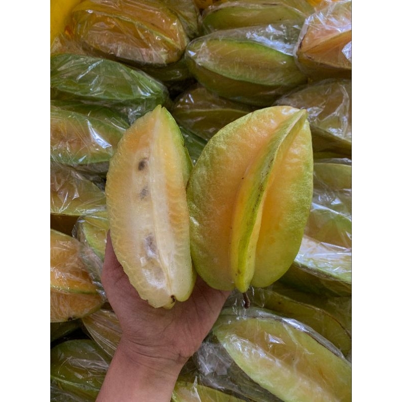 

buah belimbing//belimbing madu//belimbing manis