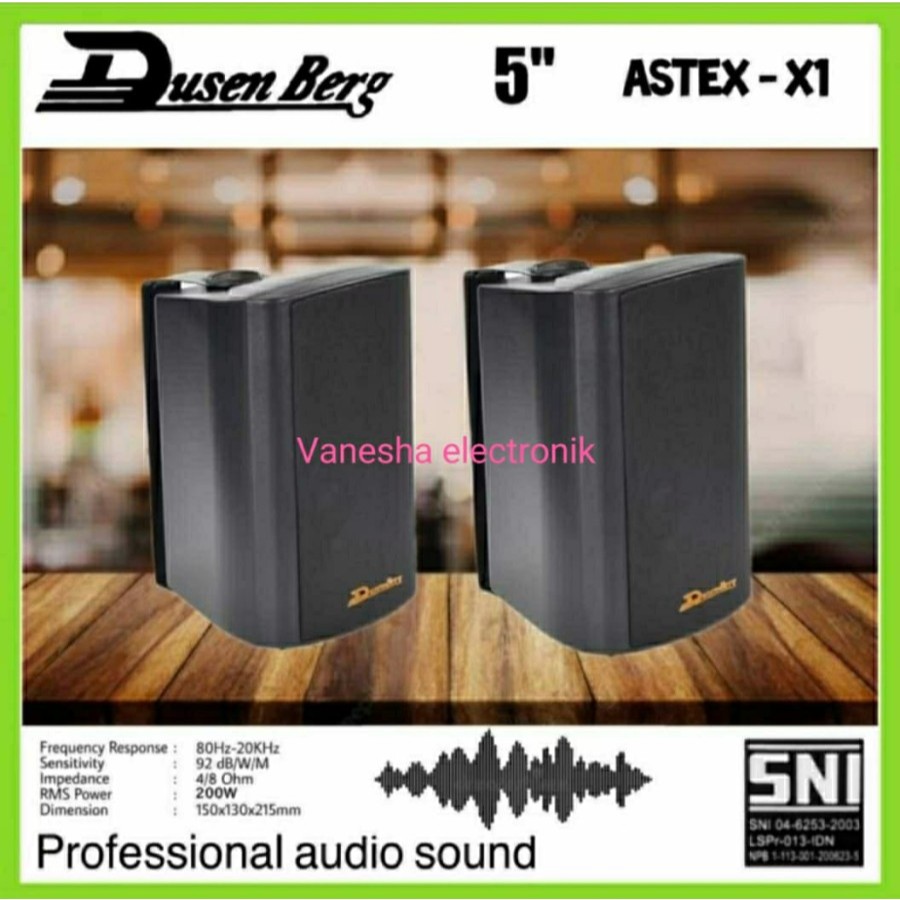Speaker Pasif 5 Inch DUSENBERG Astex X-1 Original