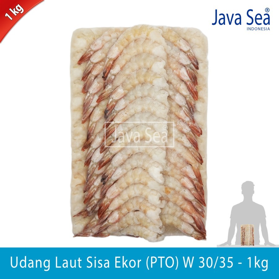 

Udang Laut Sisa Ekor PTO W 30/35 pack 1kg Java Sea