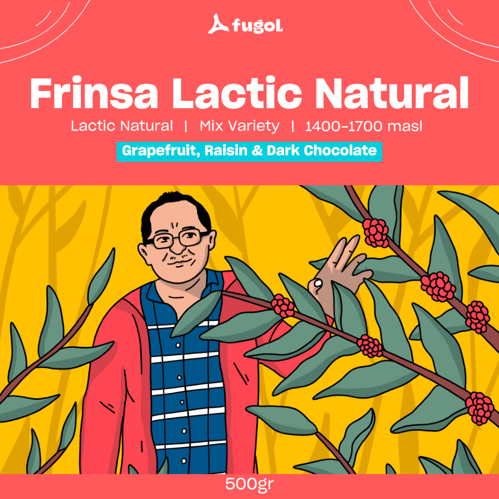 

Kopi Arabika Java Frinsa Natural Lactic (500 gram) Single Origin Specialty