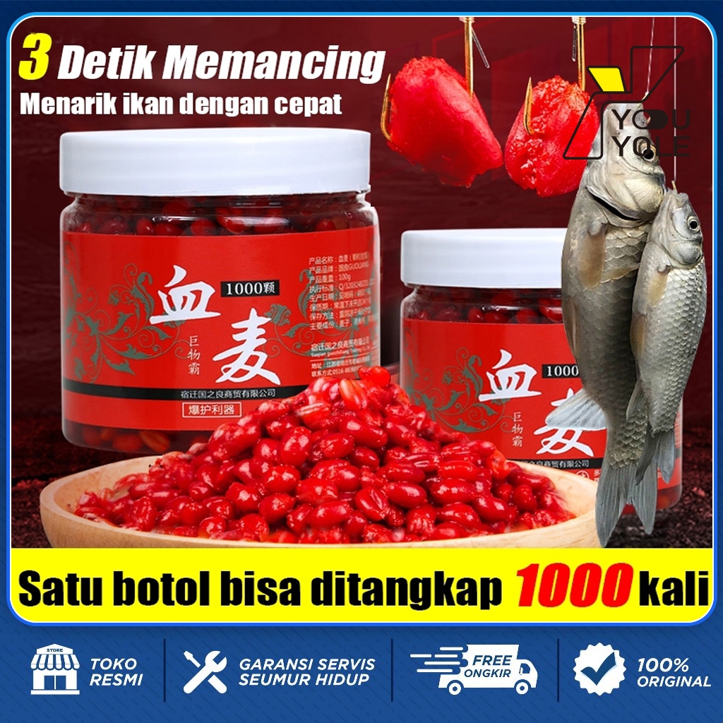(ORI,COD)Umpan Ikan Mas Dapat Menangkap Ikan 1000 Kali 100% Terperangkap Umpan Ikan Stimulant Bubuk