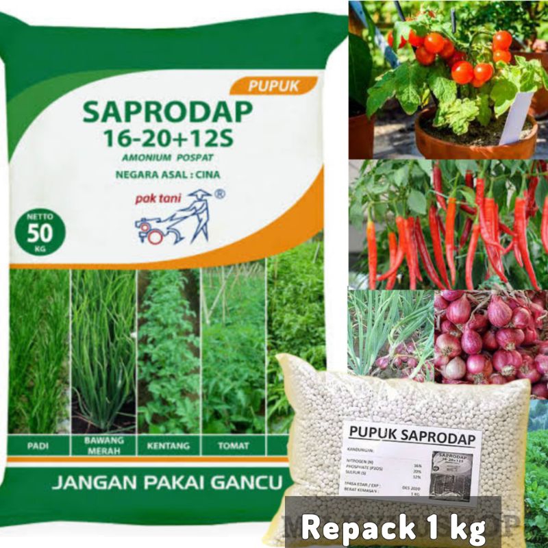 PUPUK SAPRODAP 1KG REPACK