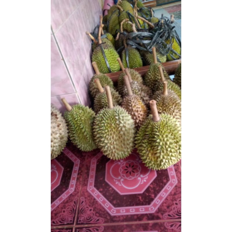 

Duren Durian Montong Manis Asli Banyumas 2,5 - 3,5 Kg Daging Tebal Matang Pohon Termurah