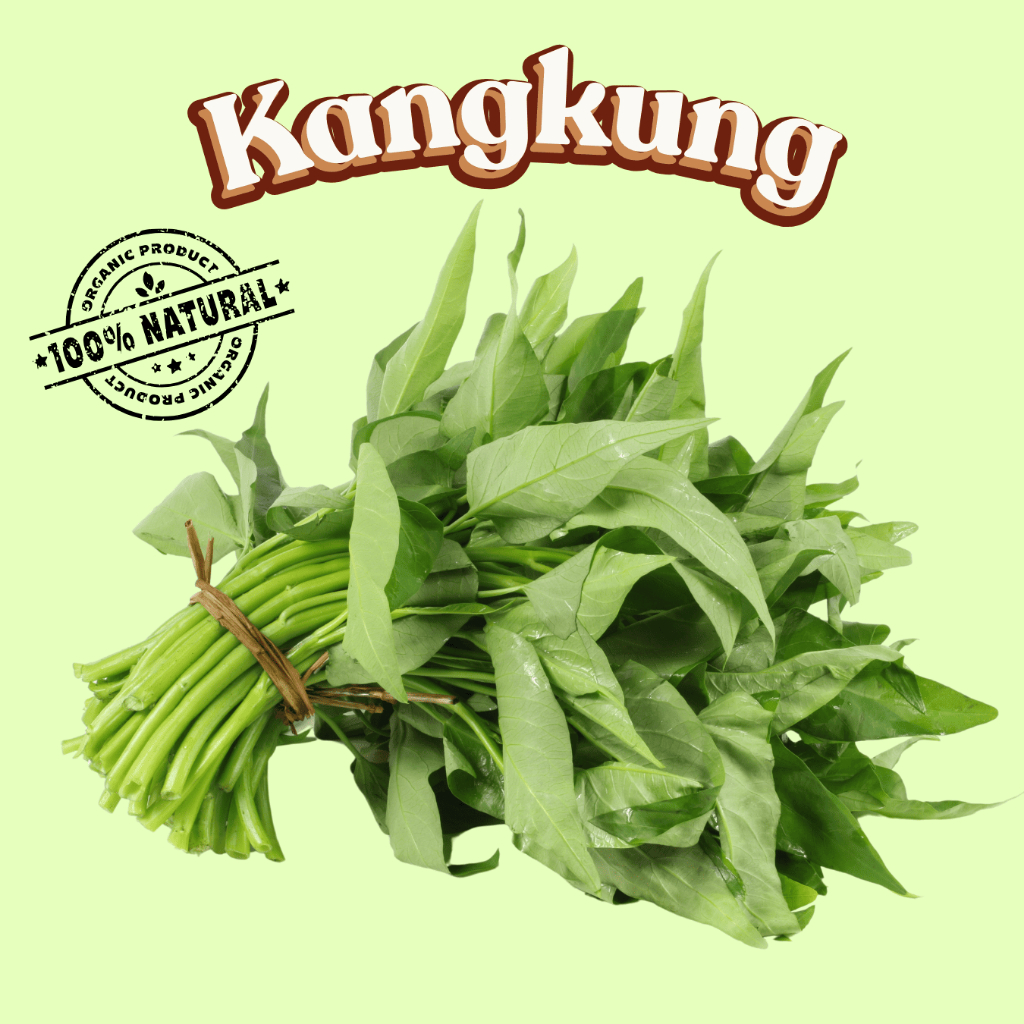 

KANGKUNG SAYUR 1 IKAT FRESH DARI KEBUN SIAP KIRIM KANGKUNG OSENG TUMIS SAYUR BERGIZI