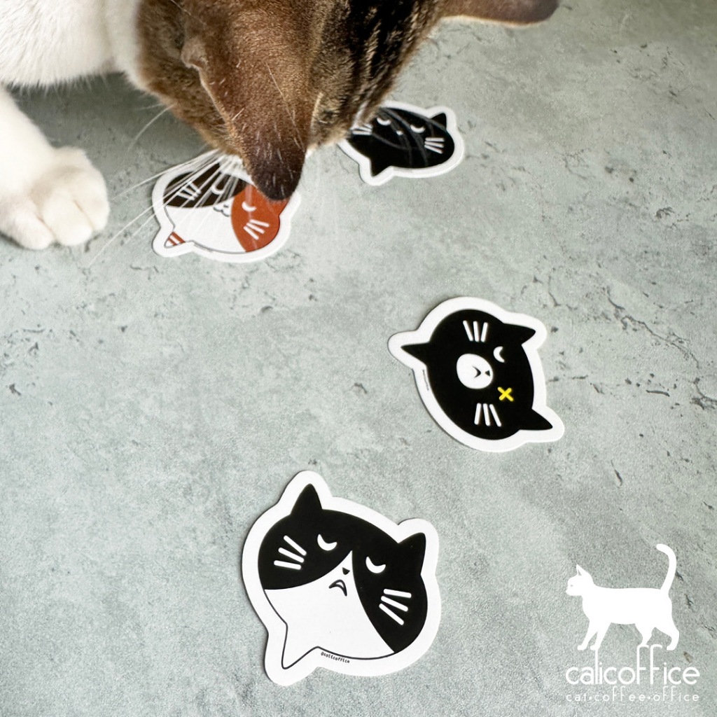 

Cat Word Bubble Sticker Pack isi 4pcs by Calicoffice.