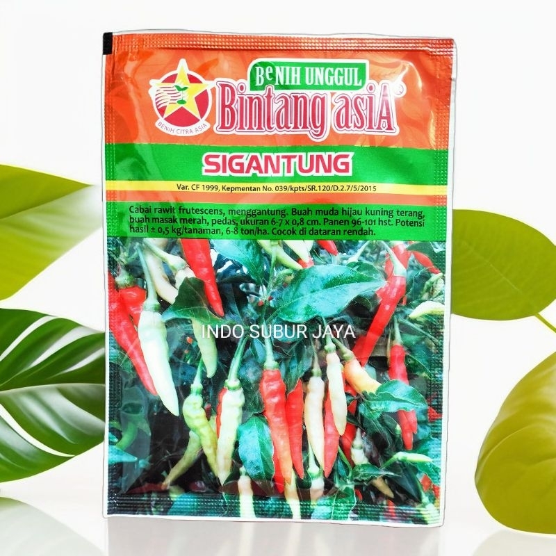 Sigantung Benih Cabai/ Cabe Setan Cap Bintang Asia 10 Gram