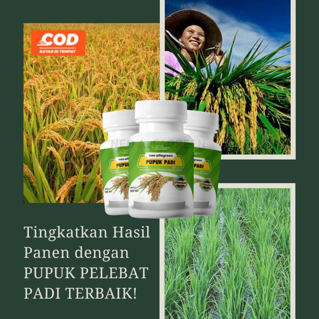 Pupuk Booster Organik Pemacu Pertumbuhan Tanaman padi Penyubur Organik Perangsang Bunga Perkuat Akar