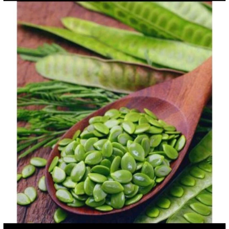 

Petai Cina/Lantoro mlanding Segar 1 ikat