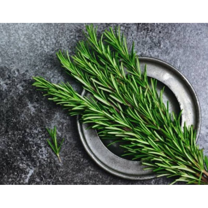 

Daun rosmary fresh 100g