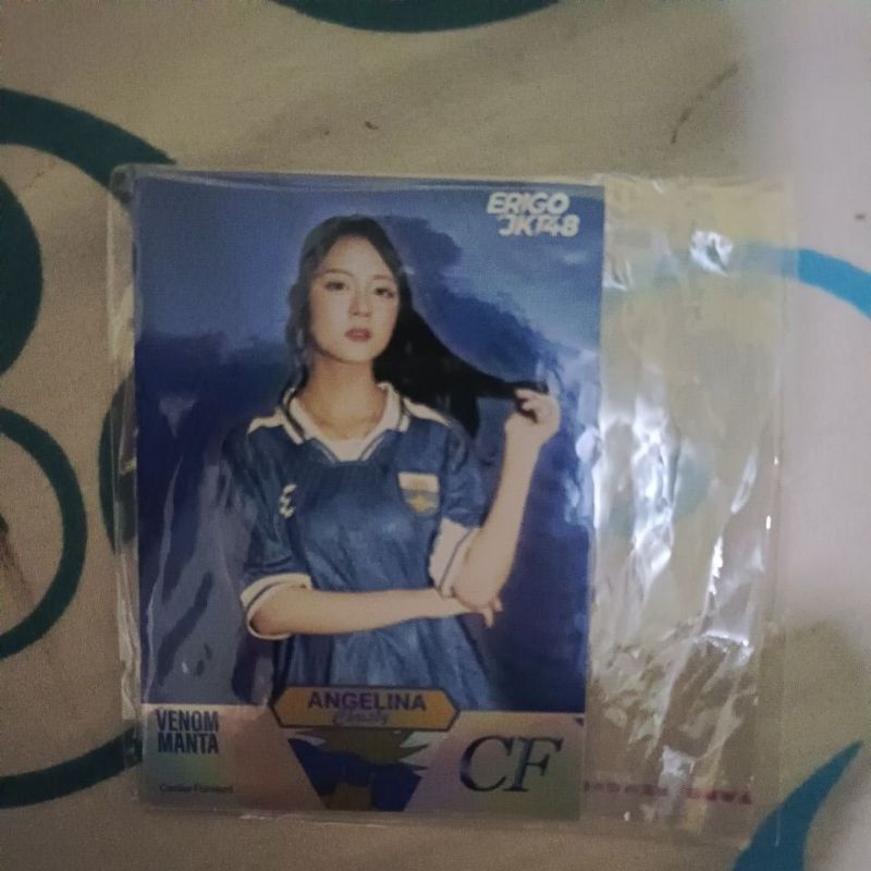 pp erigo christy