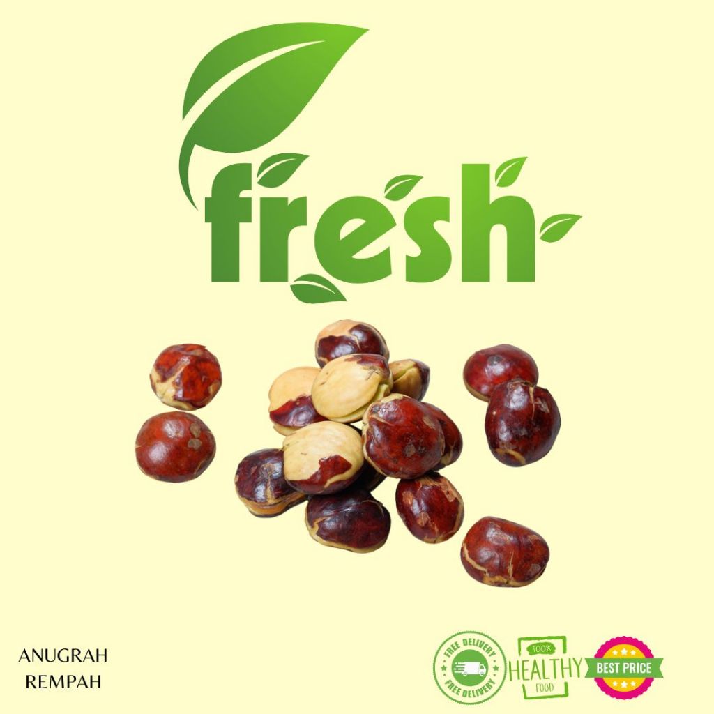 

Jengkol Jumbo 250 gram - 500 gram Anugrah Rempah