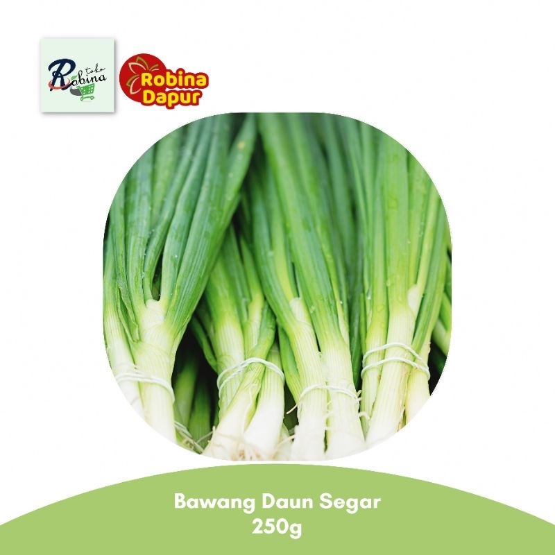 

Promo Murah Bawang Daun 250 gr