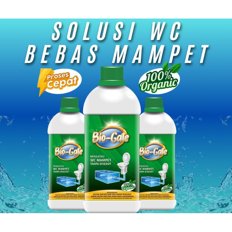 CAIRAN WC PENUH MAMPET, OBAT SEPTIC TANK PENUH