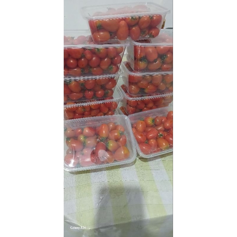 

Tomat chery Fresh grade A (langsung petani dieng) petik langsung kirim...berat 500gram
