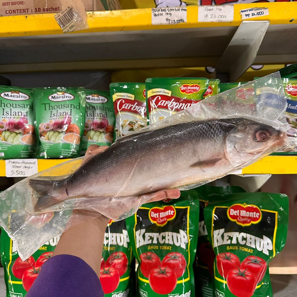

IKAN BANDENG TANPA DURI