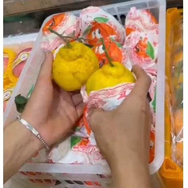 

Buah Jeruk Dekopon Matang Jual Per 1 BOK
