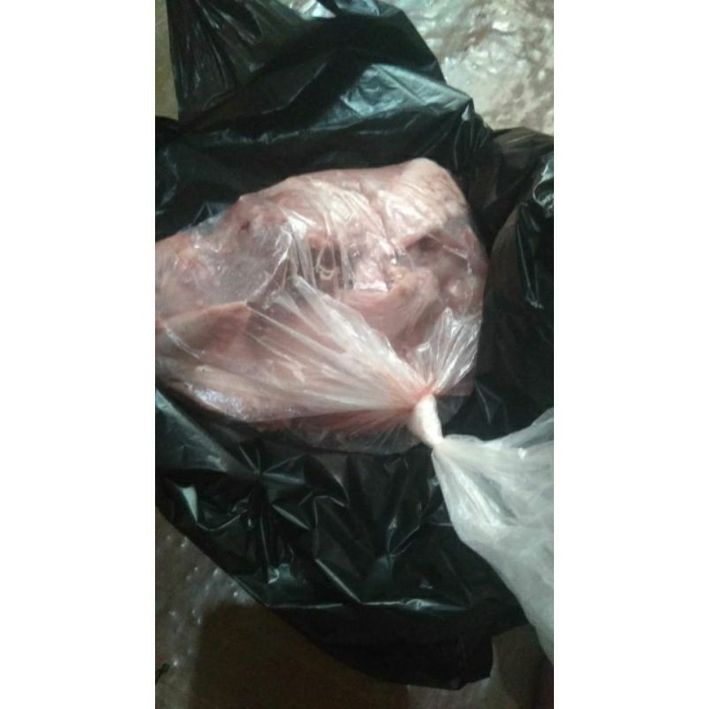 

Frozen Food Paha Ayam