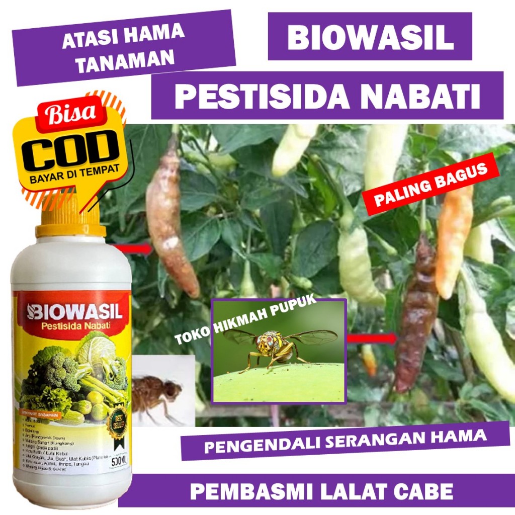 Pupuk Pestisida Nabati Cabai/Cabe Obat Organik Pengendali Lalat Buah Cabe Insektisida BIOWASIL Cair 