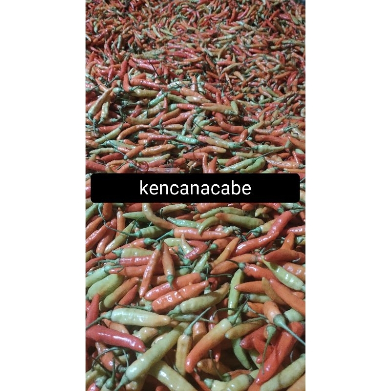 

CABAI RAWIT MERAH 500g