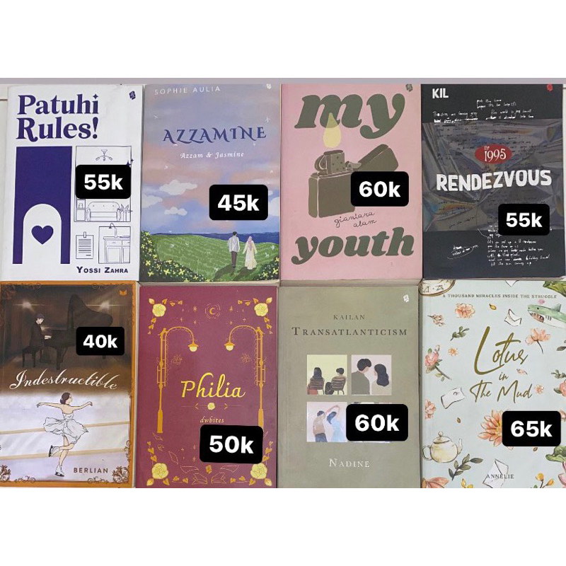 booked novel my youth