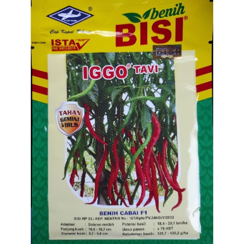 CMK IGGO TAVI CABE MERAH KERITING TAHAN VIRUS, CABE MERAH KERITING PRODUKSI TINGGI, CABE MERAH KERIT