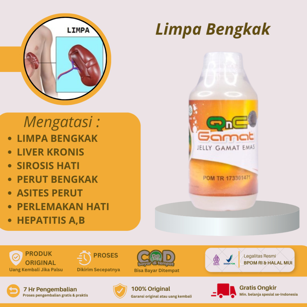 Qnc Jelly Gamat - Limpa Bengkak, Liver, Liver Perut Bengkak, Pembengkakan Limpa, Limpa Membengkak